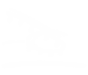Lotus.png